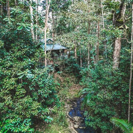 Narrows Escape Rainforest Retreat Монтвіль Екстер'єр фото