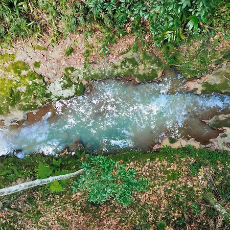 Narrows Escape Rainforest Retreat Монтвіль Екстер'єр фото