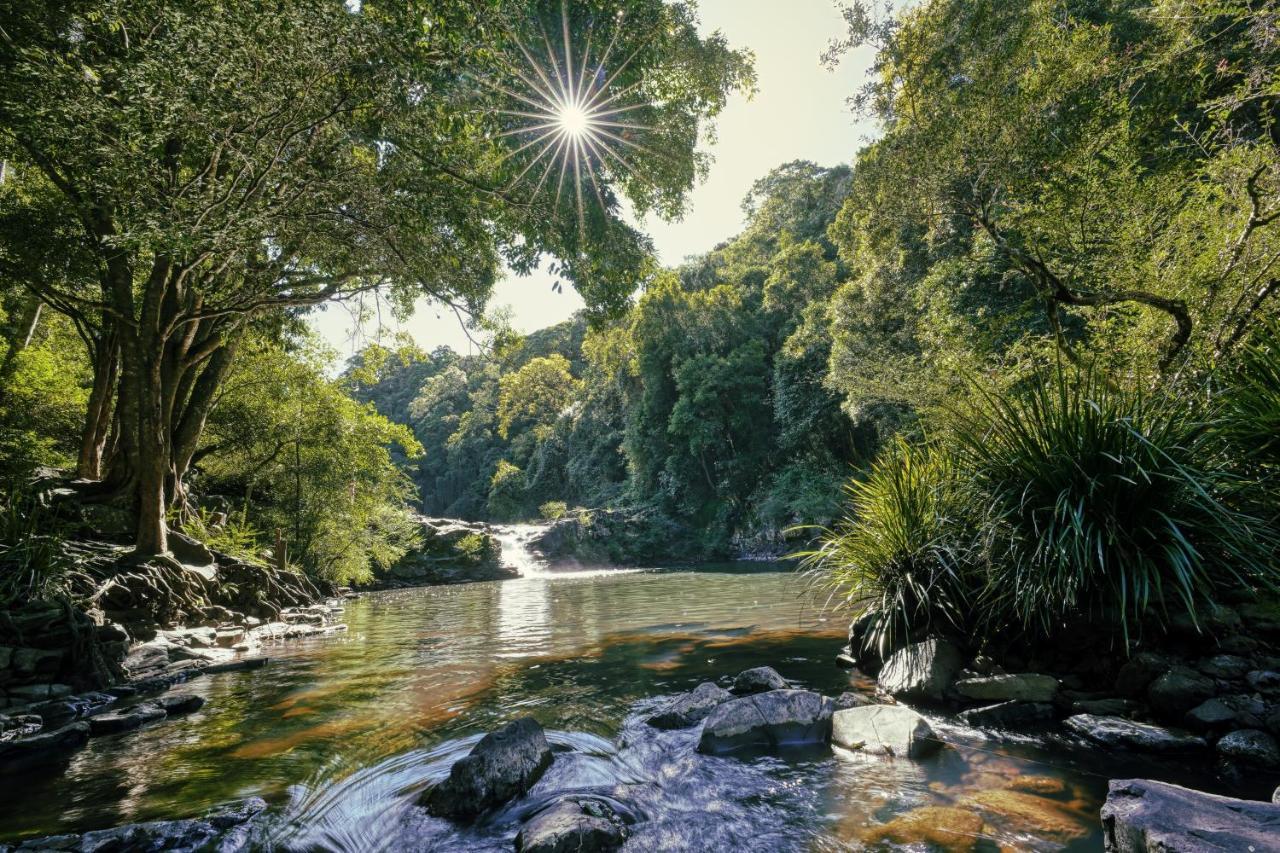 Narrows Escape Rainforest Retreat Монтвіль Екстер'єр фото