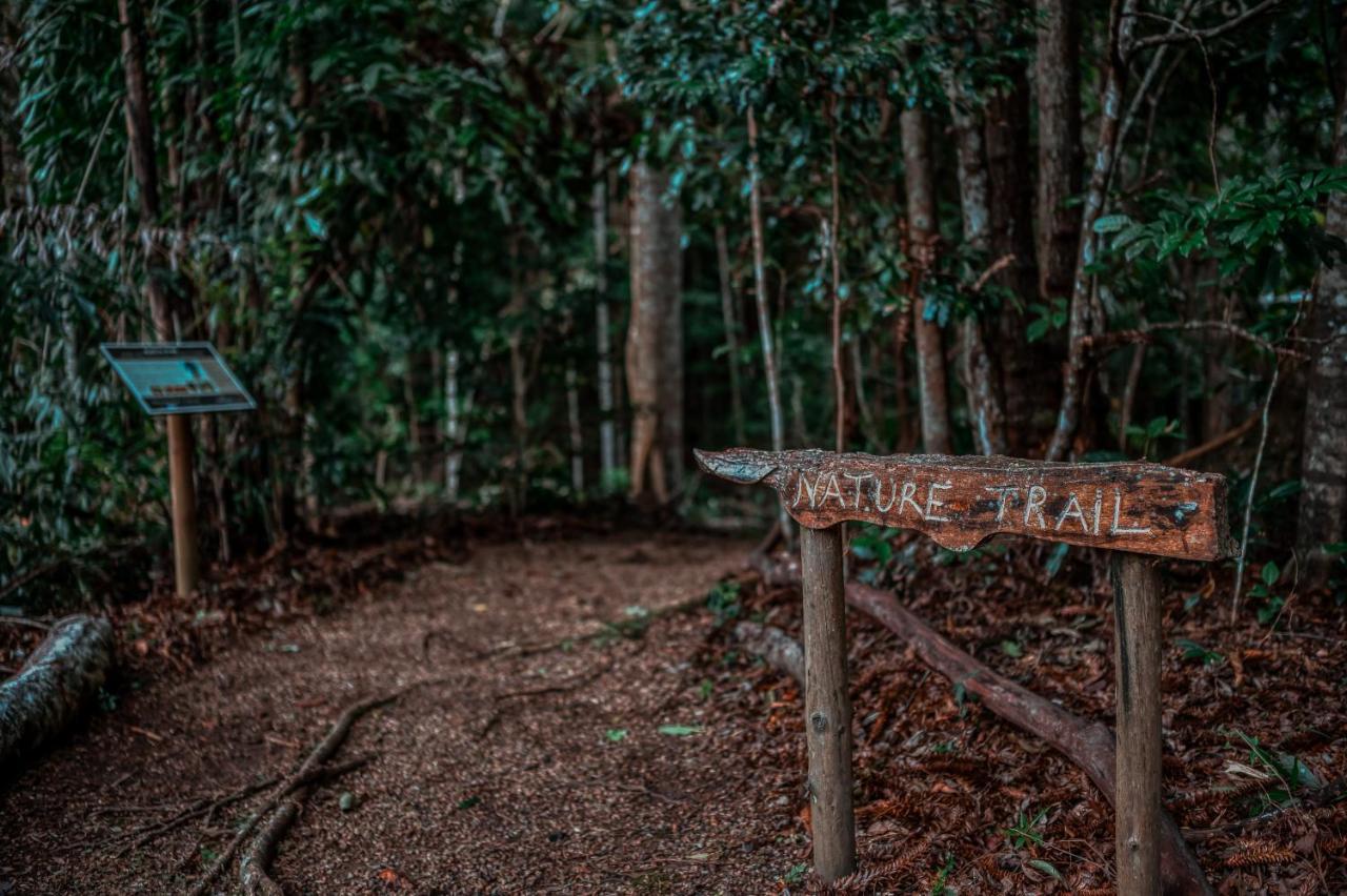 Narrows Escape Rainforest Retreat Монтвіль Екстер'єр фото