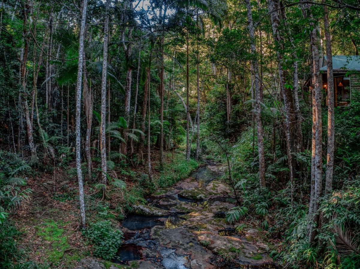 Narrows Escape Rainforest Retreat Монтвіль Екстер'єр фото