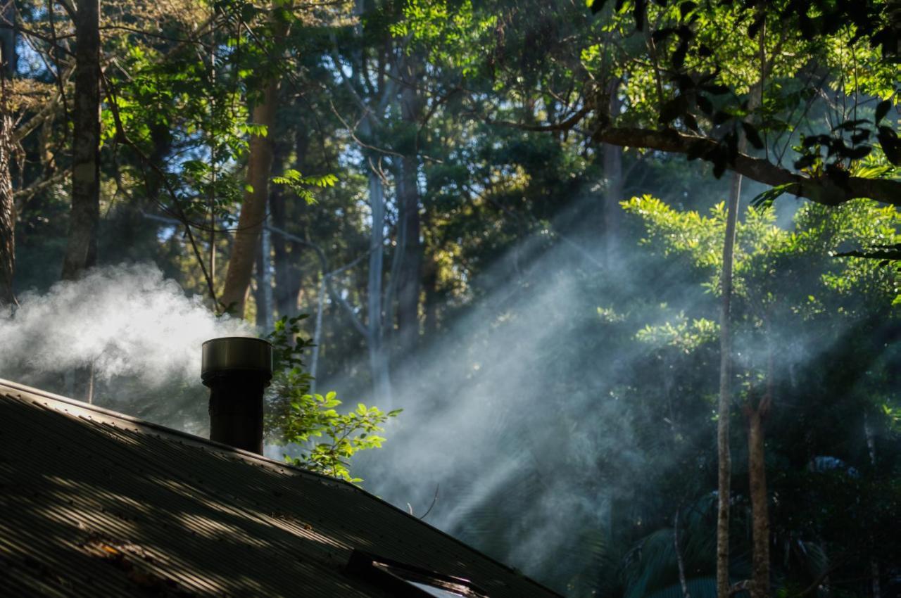 Narrows Escape Rainforest Retreat Монтвіль Екстер'єр фото