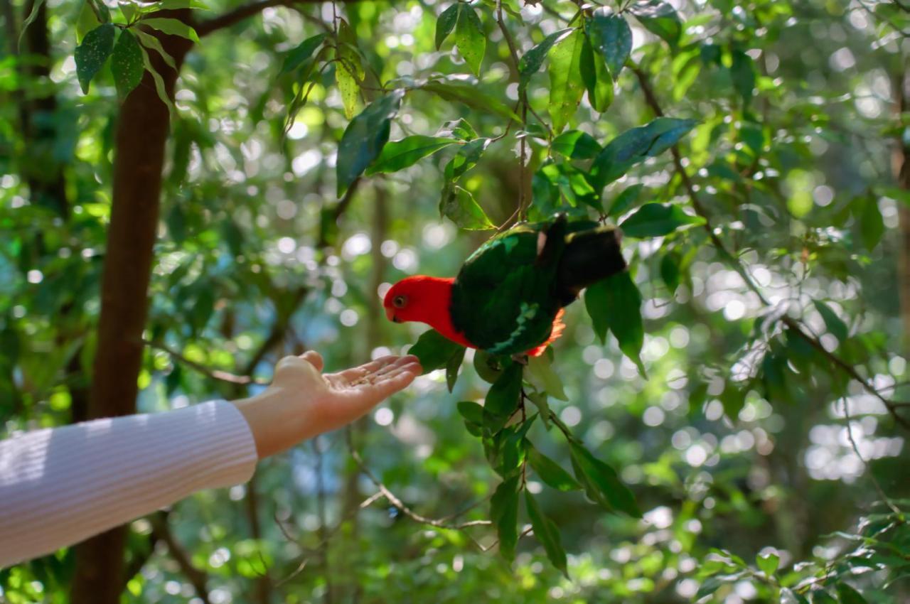 Narrows Escape Rainforest Retreat Монтвіль Екстер'єр фото