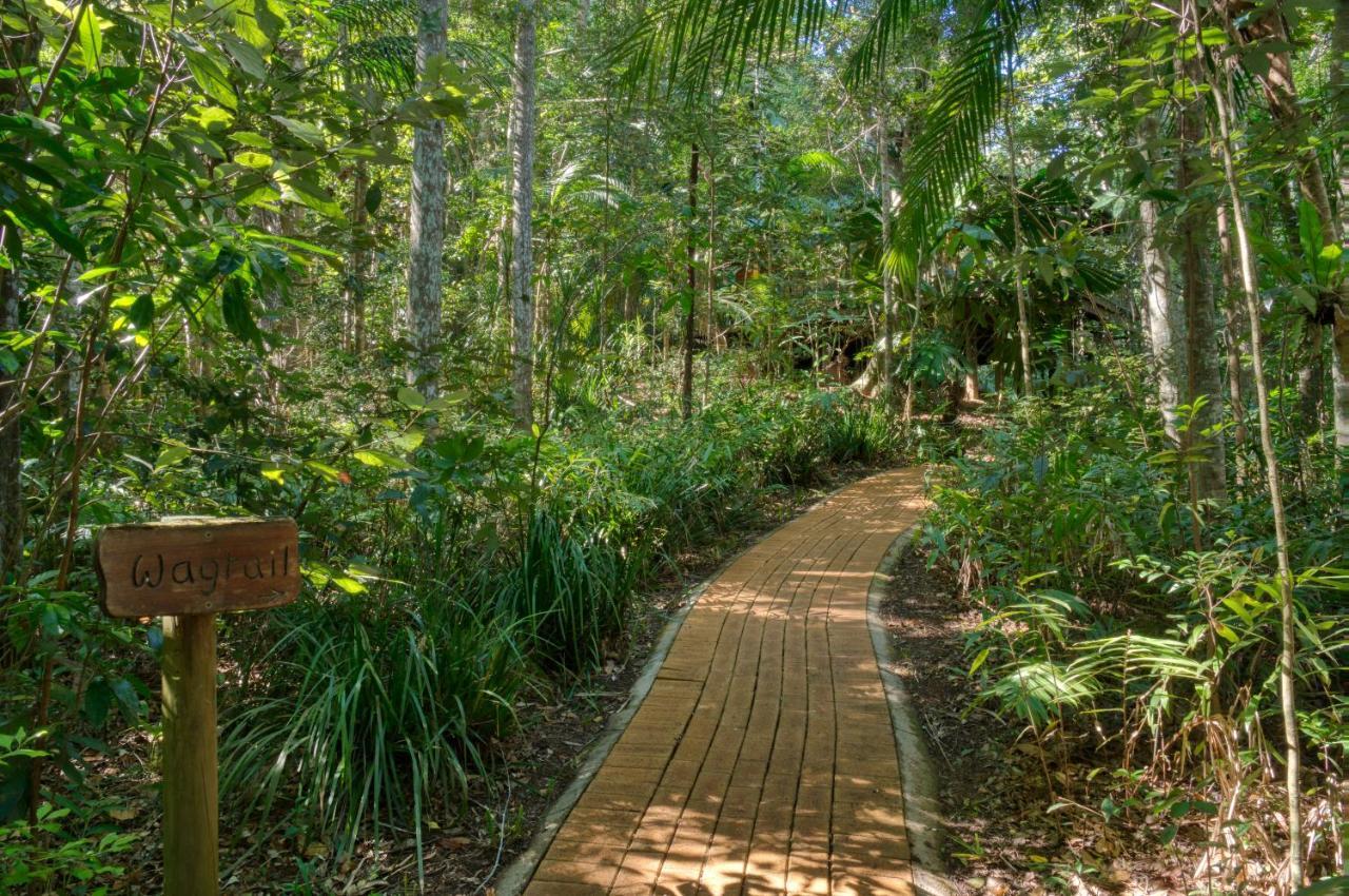 Narrows Escape Rainforest Retreat Монтвіль Екстер'єр фото