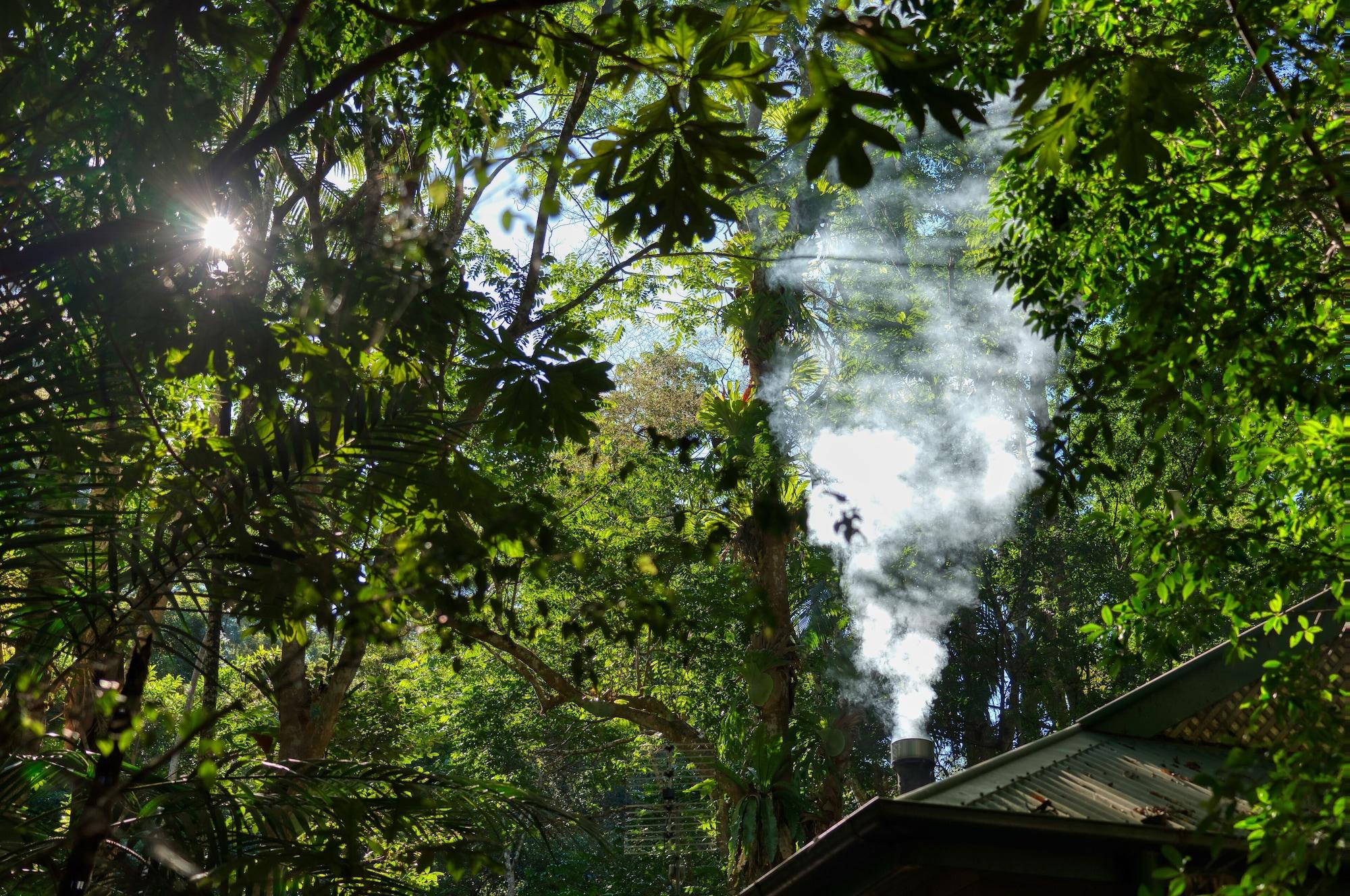 Narrows Escape Rainforest Retreat Монтвіль Екстер'єр фото