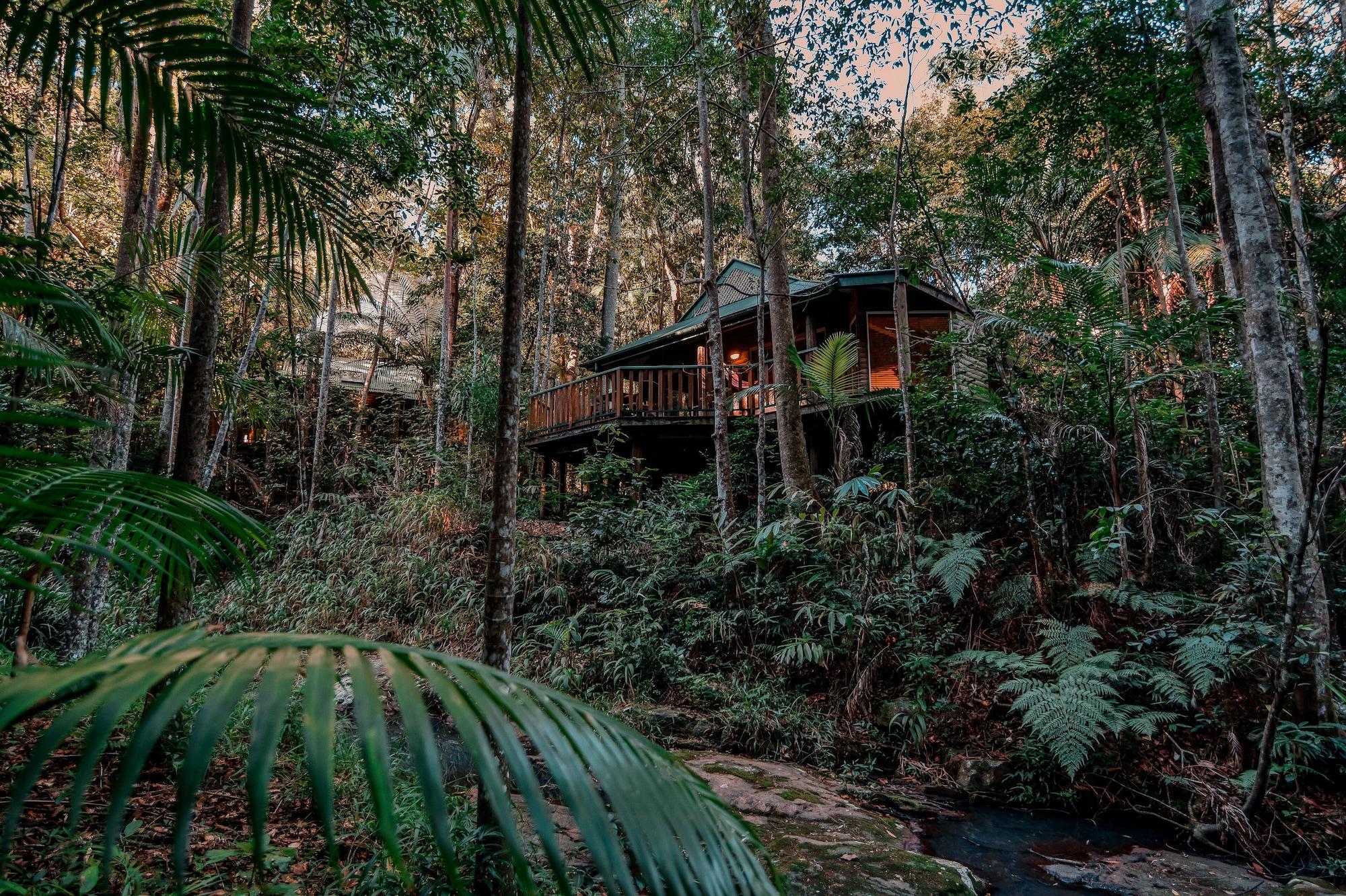Narrows Escape Rainforest Retreat Монтвіль Екстер'єр фото