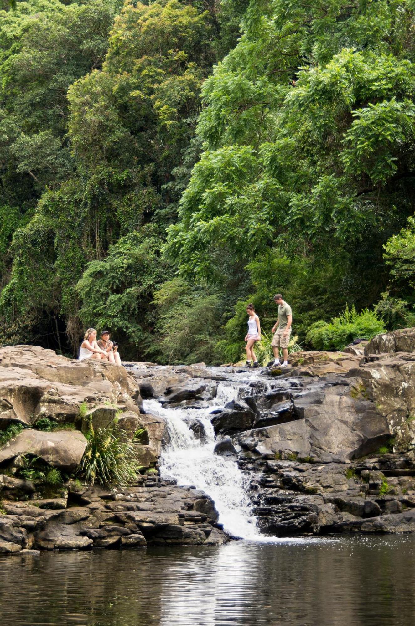 Narrows Escape Rainforest Retreat Монтвіль Екстер'єр фото