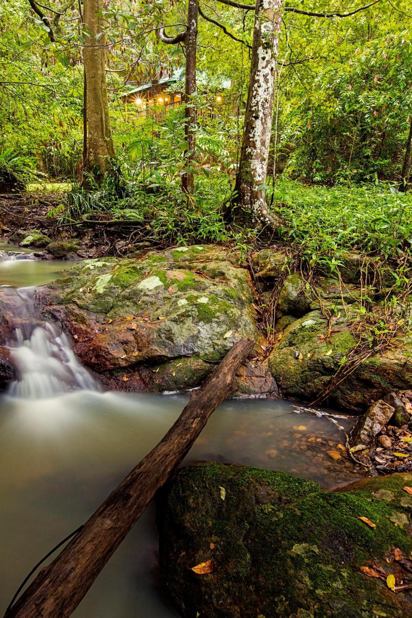 Narrows Escape Rainforest Retreat Монтвіль Екстер'єр фото