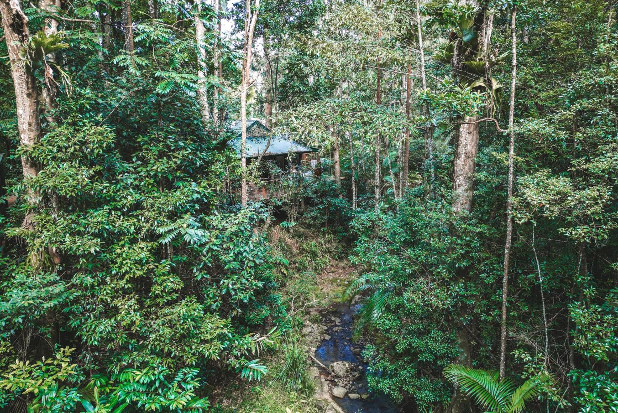 Narrows Escape Rainforest Retreat Монтвіль Екстер'єр фото