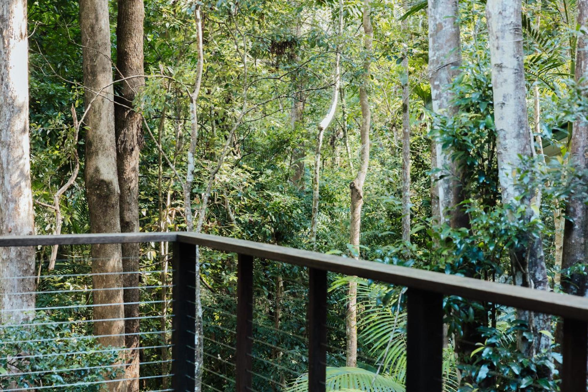 Narrows Escape Rainforest Retreat Монтвіль Екстер'єр фото