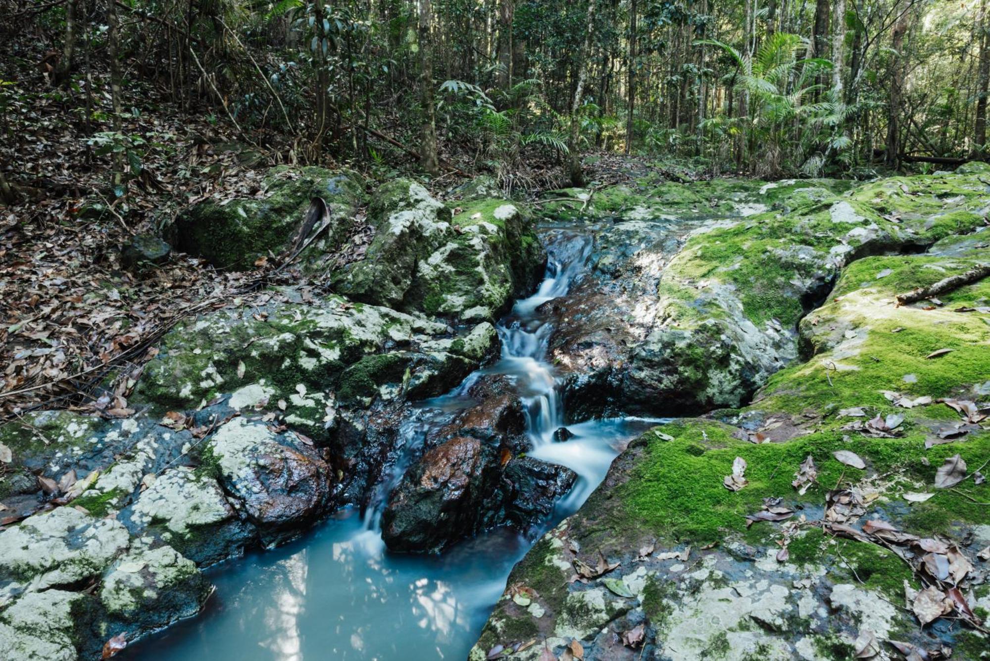 Narrows Escape Rainforest Retreat Монтвіль Екстер'єр фото
