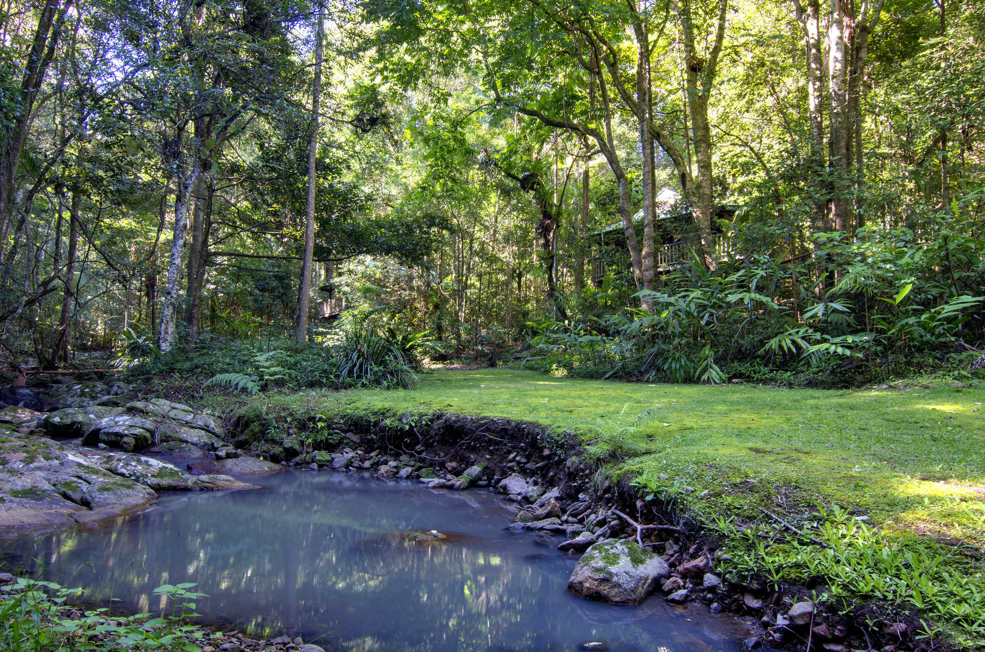 Narrows Escape Rainforest Retreat Монтвіль Екстер'єр фото